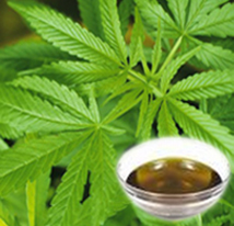 火麻仁油 