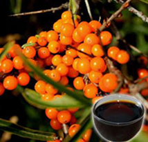 Sea buckthorn seed oil