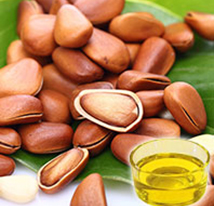 Pine Nut Oil