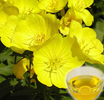 Evening Primrose Oil