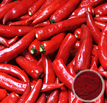 Capsaicin